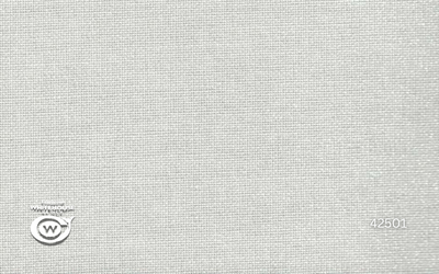 42501-PLATEADO