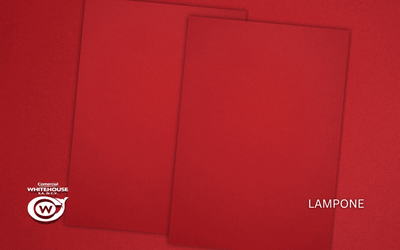 LAMPONE / 700 GRS