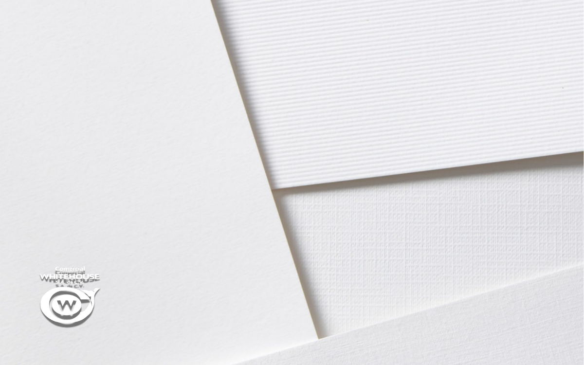 Masterblank Lino 270 GRS