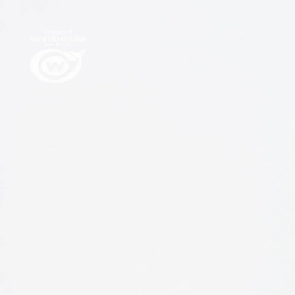 Papel Pelline Soft Touch (metro)