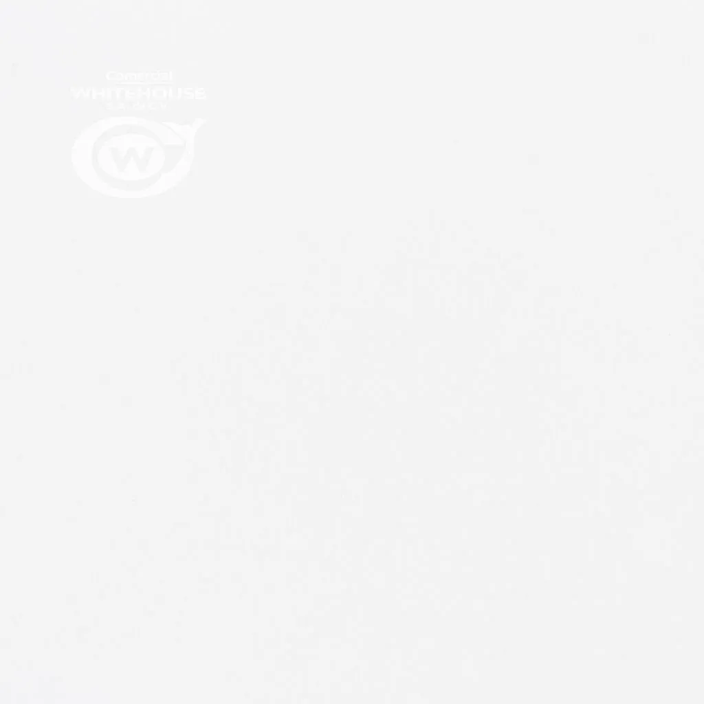 Papel Guaflex Intenso (Hoja 70x100 cm)