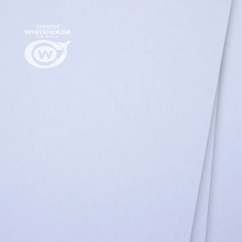 [SIRIO-10665700] HOJA SIRIO WHITE (71x101 cm) (700 GSM)