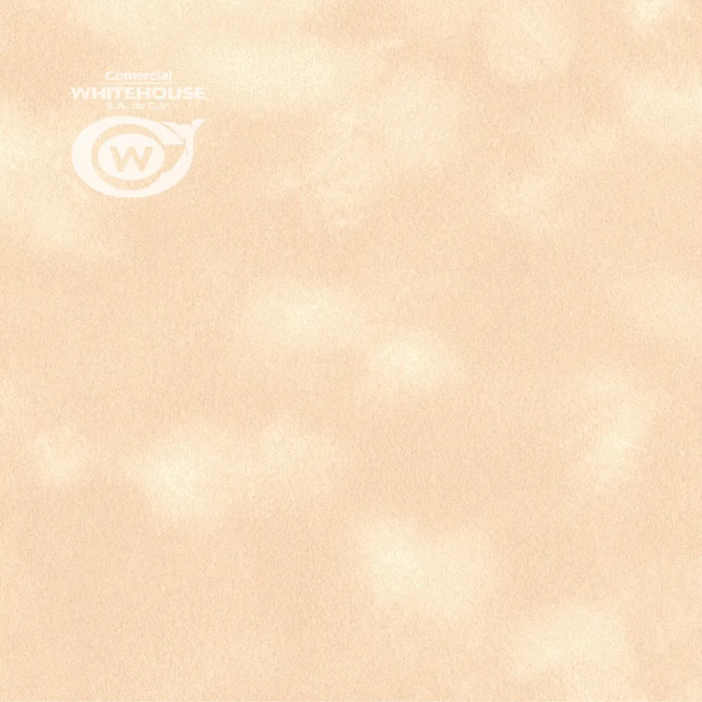 Flocked Paper (SENSE Plain L90)