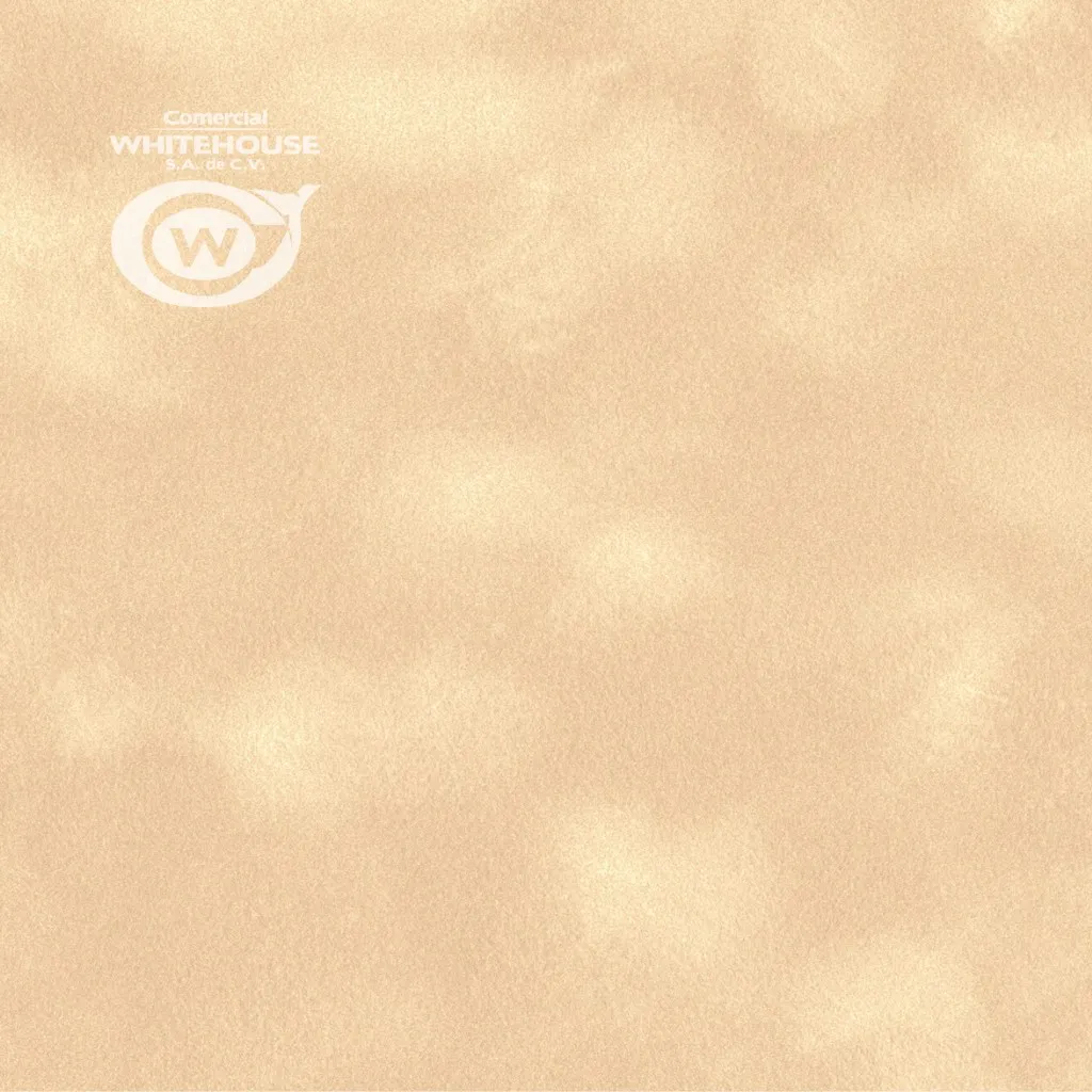 Flocked Paper (SENSE Plain L90)