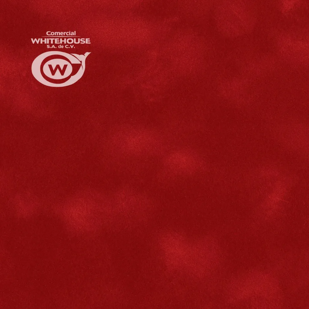 Flocked Paper (SENSE Plain L90)