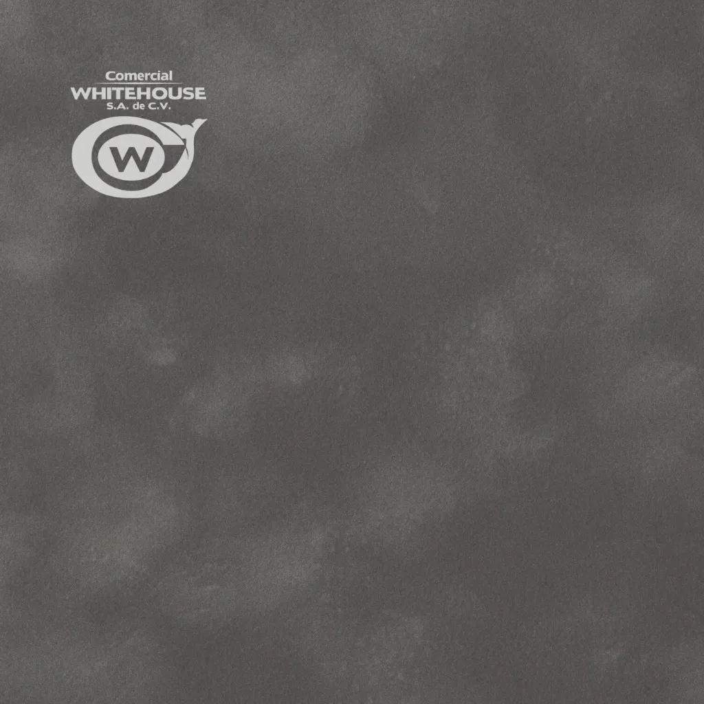 Flocked Paper (SENSE Plain L90)