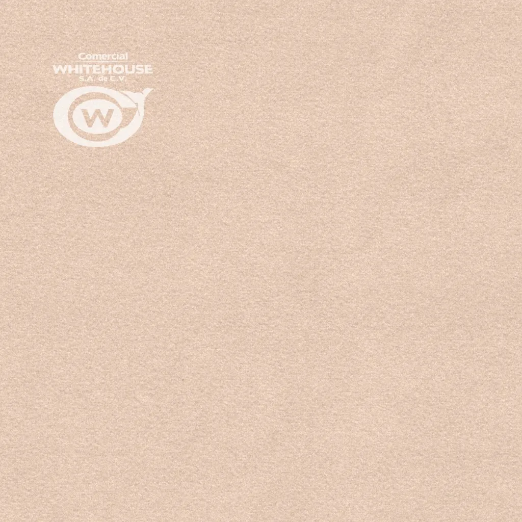 Flocked Paper (SENSE Velvet P100)