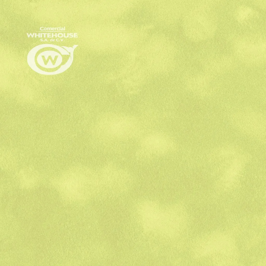 [P100-5807P] Flocked Paper (SENSE Plain P100) (CITRUS)