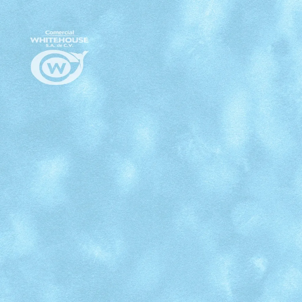 Flocked Paper (SENSE Plain P100)