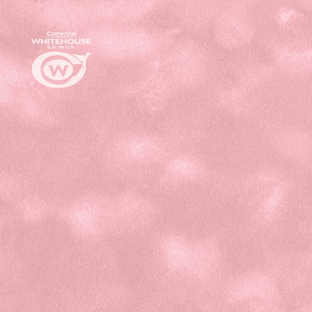 Flocked Paper (SENSE Plain P100)