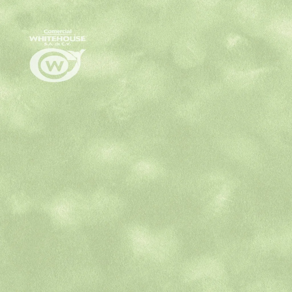 Flocked Paper (SENSE Plain P100)